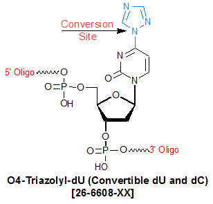 picture of Convertible dU & dC (O4 Triazolyl dU)